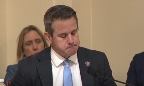 Kinzinger: Republicans Need To Stand Up To Trump Just Like Flight 93 Did To Terrorists On 9/11