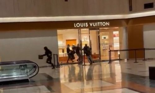 Thieves Loot Louis Vuitton Store in North Shore Area of Chicago (VIDEO)