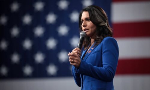 Tulsi Gabbard Cheers Democrat Beat Down As A Victory Against Those Who ‘Separate Us By Race’