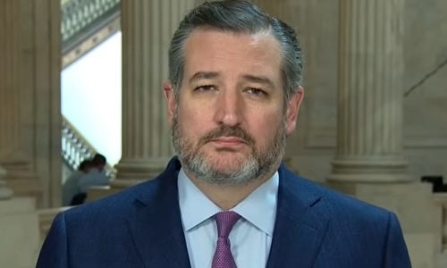 Cruz: ‘Unacceptable’ That Biden Administration Plans To Reassign Veteran’s Affairs Staff To Southern Border