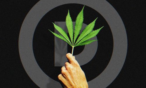 When Will Democrats Get Serious About Repealing Pot Prohibition?