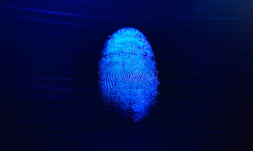 Everything You Need to Know About Livescan Fingerprinting