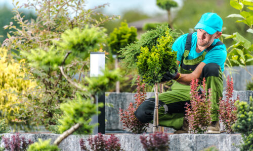 Should You Hire a Professional Landscaper?