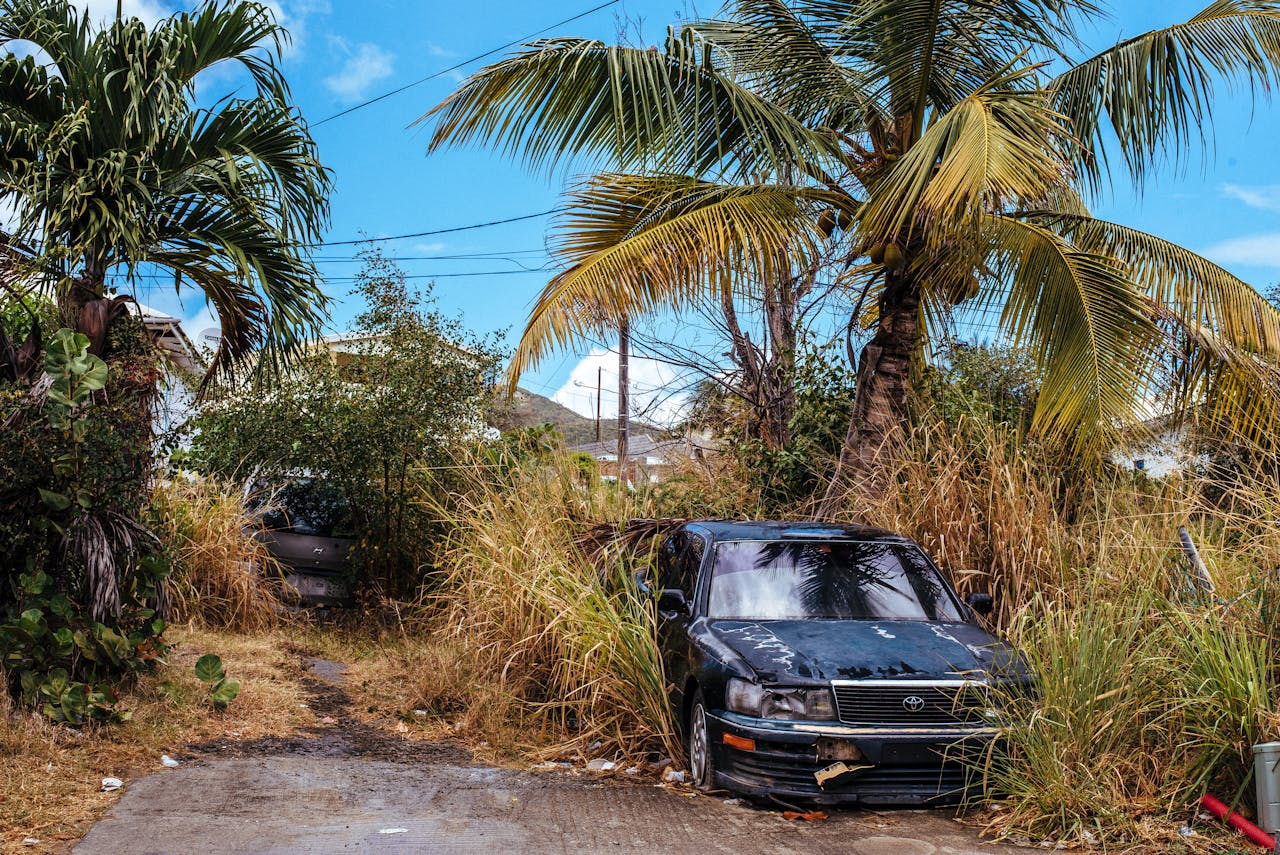 Photo by Harrison Haines: https://www.pexels.com/photo/a-broken-down-black-car-surrounded-by-tall-weeds-3089401/