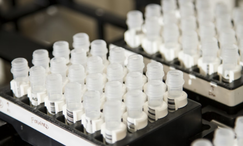 Why Employee Drug Testing Services Are Critical for Workplace Safety