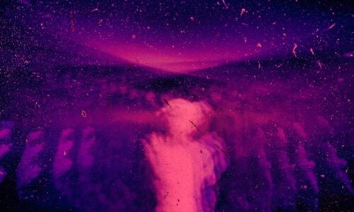 U.S. Psychedelic Therapy Policy Moves Into Fast-Track Phase Under New Executive Order